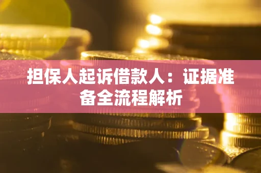 北京担保人起诉借款人：证据准备全流程解析