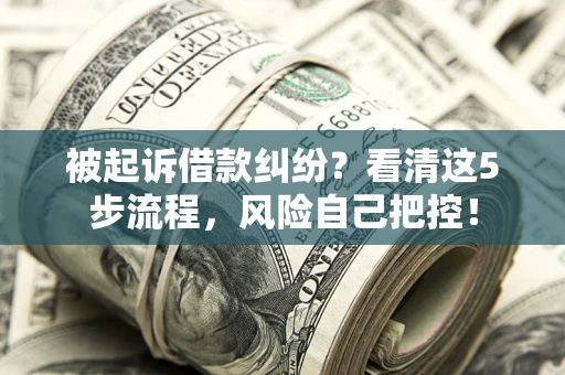 北京被起诉借款纠纷？看清这5步流程，风险自己把控！